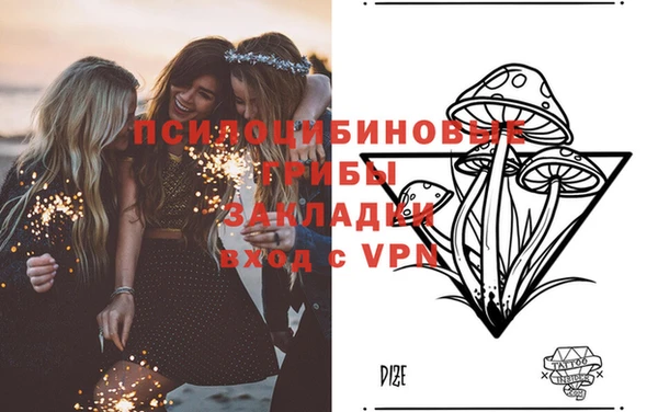 сатива Бородино